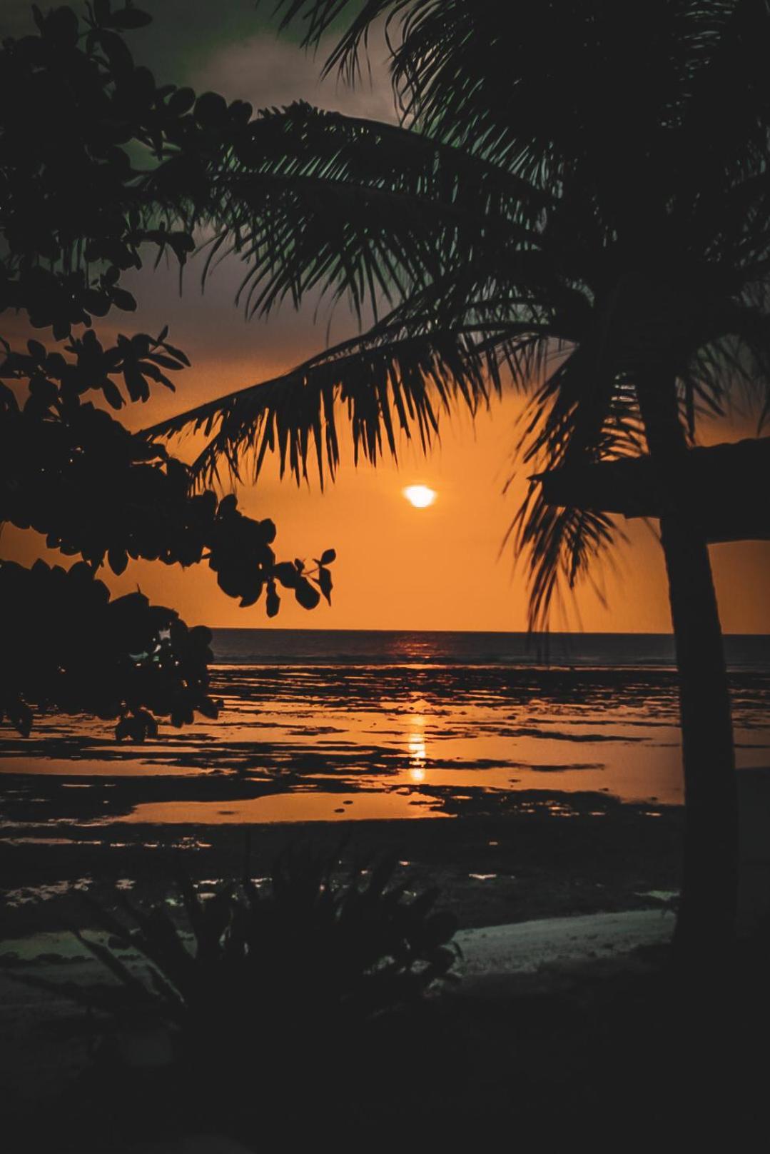 Sumatra Surf Resort Biha Екстер'єр фото